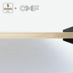 ریولدیا CNF