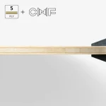 فن ژندونگ CNF
