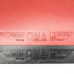 رویه DNA Dragon Grip 55 استیگا