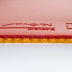 رویه DNA Pro H استیگا