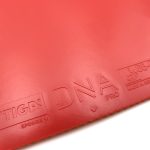 رویه DNA Pro M استیگا