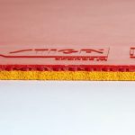 رویه DNA Pro M استیگا