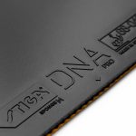 رویه DNA Pro M استیگا