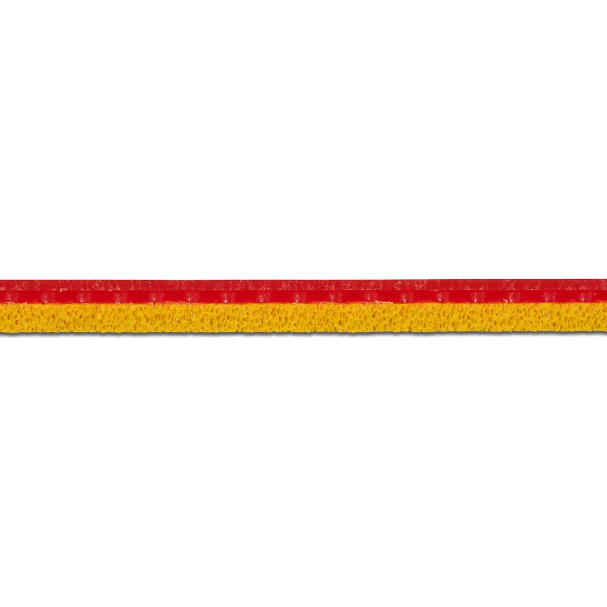 رویه Rigan یاساکا